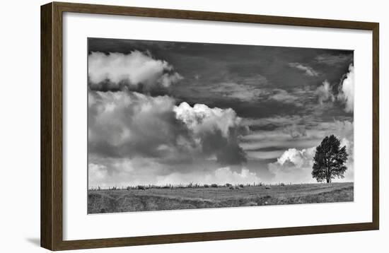 Sheep on the Horizon-Trent Foltz-Framed Art Print