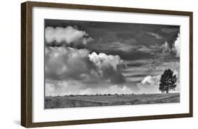 Sheep on the Horizon-Trent Foltz-Framed Art Print