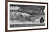 Sheep on the Horizon-Trent Foltz-Framed Art Print