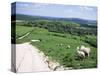 Sheep on the South Downs Near Lewes, East Sussex, England, United Kingdom-Jenny Pate-Stretched Canvas