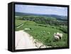 Sheep on the South Downs Near Lewes, East Sussex, England, United Kingdom-Jenny Pate-Framed Stretched Canvas