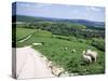 Sheep on the South Downs Near Lewes, East Sussex, England, United Kingdom-Jenny Pate-Stretched Canvas