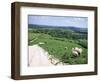 Sheep on the South Downs Near Lewes, East Sussex, England, United Kingdom-Jenny Pate-Framed Photographic Print