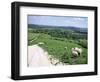 Sheep on the South Downs Near Lewes, East Sussex, England, United Kingdom-Jenny Pate-Framed Photographic Print