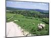 Sheep on the South Downs Near Lewes, East Sussex, England, United Kingdom-Jenny Pate-Mounted Photographic Print