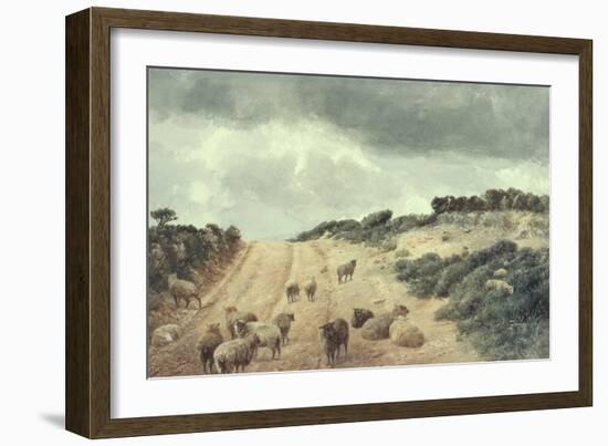 Sheep on the Surrey Hills-Richard Beavis-Framed Giclee Print