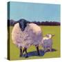 Sheep Pals III-Carol Young-Stretched Canvas