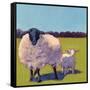 Sheep Pals III-Carol Young-Framed Stretched Canvas
