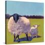 Sheep Pals III-Carol Young-Stretched Canvas