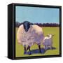 Sheep Pals III-Carol Young-Framed Stretched Canvas