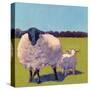 Sheep Pals III-Carol Young-Stretched Canvas