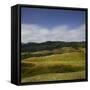 Sheep Pasture in the Moonlight, Wharariki, Tasman, South Island, New Zealand-Rainer Mirau-Framed Stretched Canvas