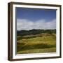 Sheep Pasture in the Moonlight, Wharariki, Tasman, South Island, New Zealand-Rainer Mirau-Framed Photographic Print