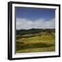 Sheep Pasture in the Moonlight, Wharariki, Tasman, South Island, New Zealand-Rainer Mirau-Framed Photographic Print