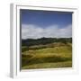 Sheep Pasture in the Moonlight, Wharariki, Tasman, South Island, New Zealand-Rainer Mirau-Framed Photographic Print