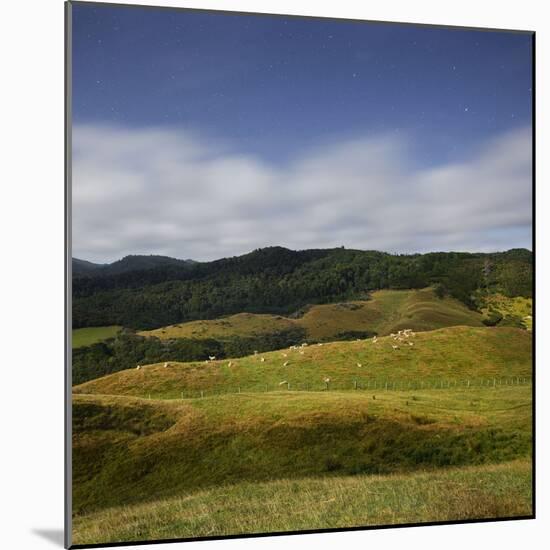 Sheep Pasture in the Moonlight, Wharariki, Tasman, South Island, New Zealand-Rainer Mirau-Mounted Photographic Print