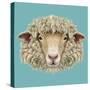 Sheep Portrait. Illustrated Portrait of Ram or Sheep on Blue Background.-ant_art-Stretched Canvas