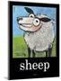 Sheep Poster-Tim Nyberg-Mounted Giclee Print