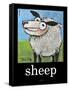 Sheep Poster-Tim Nyberg-Framed Stretched Canvas