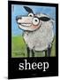 Sheep Poster-Tim Nyberg-Mounted Giclee Print