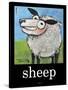 Sheep Poster-Tim Nyberg-Stretched Canvas