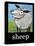 Sheep Poster-Tim Nyberg-Stretched Canvas