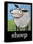 Sheep Poster-Tim Nyberg-Stretched Canvas