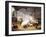 Sheep, Rabbits and a Chicken in a Barn, 1859-Eugene Joseph Verboeckhoven-Framed Giclee Print