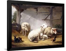 Sheep, Rabbits and a Chicken in a Barn, 1859-Eugene Joseph Verboeckhoven-Framed Giclee Print