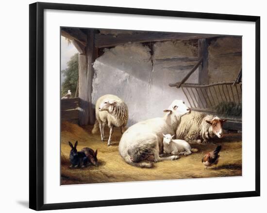 Sheep, Rabbits and a Chicken in a Barn, 1859-Eugene Joseph Verboeckhoven-Framed Giclee Print