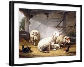 Sheep, Rabbits and a Chicken in a Barn, 1859-Eugene Joseph Verboeckhoven-Framed Giclee Print