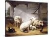 Sheep, Rabbits and a Chicken in a Barn, 1859-Eugene Joseph Verboeckhoven-Stretched Canvas