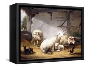 Sheep, Rabbits and a Chicken in a Barn, 1859-Eugene Joseph Verboeckhoven-Framed Stretched Canvas