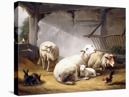Sheep, Rabbits and a Chicken in a Barn, 1859-Eugene Joseph Verboeckhoven-Stretched Canvas