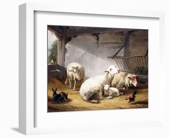 Sheep, Rabbits and a Chicken in a Barn, 1859-Eugene Joseph Verboeckhoven-Framed Giclee Print