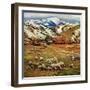 "Sheep Ranch," March 18, 1961-John Clymer-Framed Premium Giclee Print