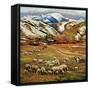 "Sheep Ranch," March 18, 1961-John Clymer-Framed Stretched Canvas