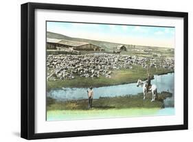 Sheep Ranch, Montana-null-Framed Art Print