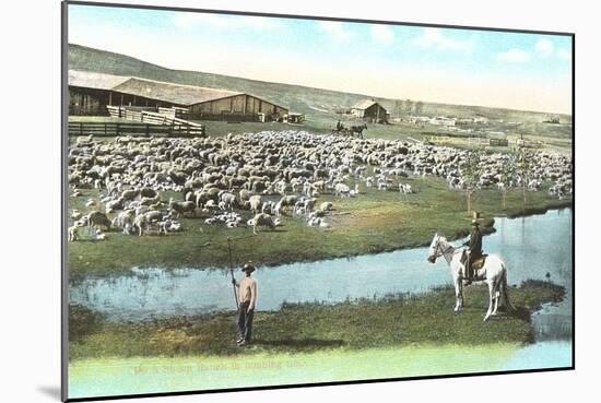 Sheep Ranch, Montana-null-Mounted Art Print