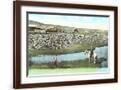 Brown Frame