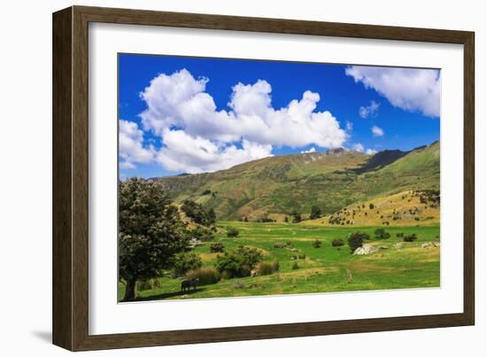 Sheep ranch on the shore of Lake Wanaka, Otago, South Island, New Zealand-Russ Bishop-Framed Photographic Print