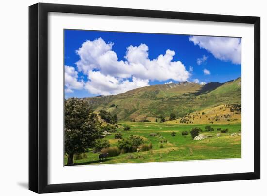 Sheep ranch on the shore of Lake Wanaka, Otago, South Island, New Zealand-Russ Bishop-Framed Photographic Print