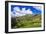 Sheep ranch on the shore of Lake Wanaka, Otago, South Island, New Zealand-Russ Bishop-Framed Photographic Print