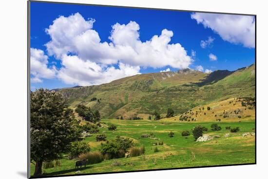 Sheep ranch on the shore of Lake Wanaka, Otago, South Island, New Zealand-Russ Bishop-Mounted Photographic Print