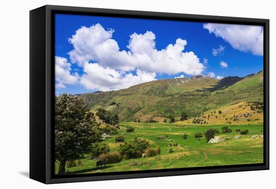 Sheep ranch on the shore of Lake Wanaka, Otago, South Island, New Zealand-Russ Bishop-Framed Stretched Canvas