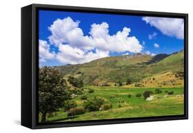 Sheep ranch on the shore of Lake Wanaka, Otago, South Island, New Zealand-Russ Bishop-Framed Stretched Canvas