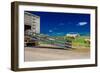 Sheep ranchers unload sheep on Hastings Mesa near Ridgway, Colorado from truck-null-Framed Photographic Print