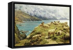 Sheep Reposing, Dalby Bay, Isle of Man-Basil Bradley-Framed Stretched Canvas