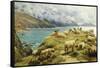 Sheep Reposing, Dalby Bay, Isle of Man-Basil Bradley-Framed Stretched Canvas