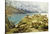 Sheep Reposing, Dalby Bay, Isle of Man-Basil Bradley-Stretched Canvas